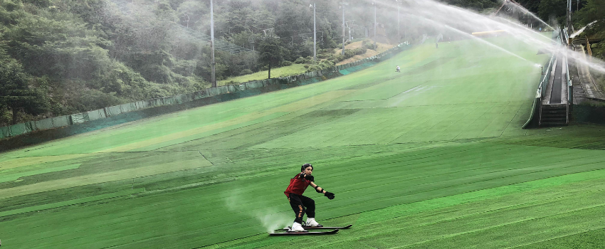 artificial ski grass.png